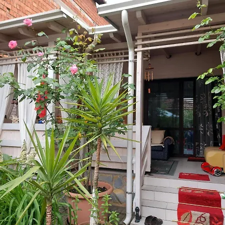 ヒュッゲ ゲストハウス ティラナ