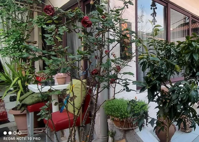 Hygge Guest house Tirana