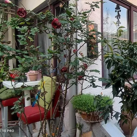 Hygge Vendégház Tirana